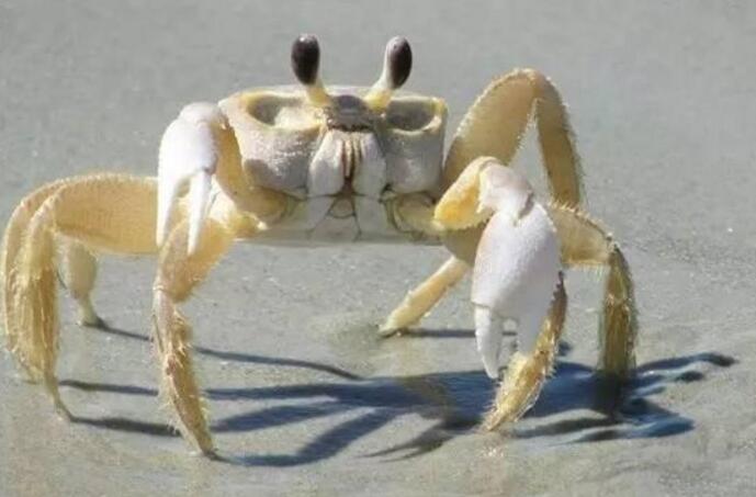 гзܳԆгзĈDƬ