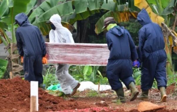 印尼出新招懲罰不戴口罩者,去為新冠肺炎死者挖墳?zāi)? /></a>
		 <p>印尼出新招懲罰不戴口罩者,去為新冠肺炎死</p></li>
    </div>

		</ul>
		</div>
		<!--最近更新-->
		<div   id=