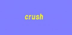 crushʲô˼W(wng)jṣcrushɶW(wng)j